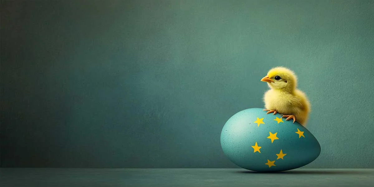 The Competitiveness Fund is the wrong fix for Europe’s investment gap